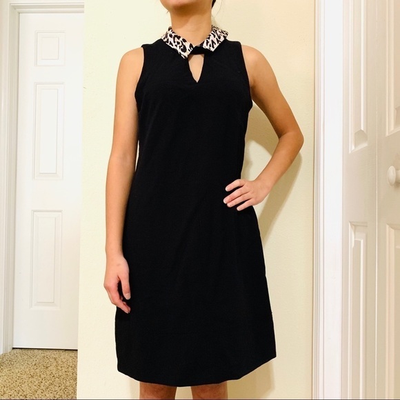WHITE HOUSE BLACK MARKET•sheath dress - Picture 1 of 8